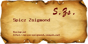 Spicz Zsigmond névjegykártya